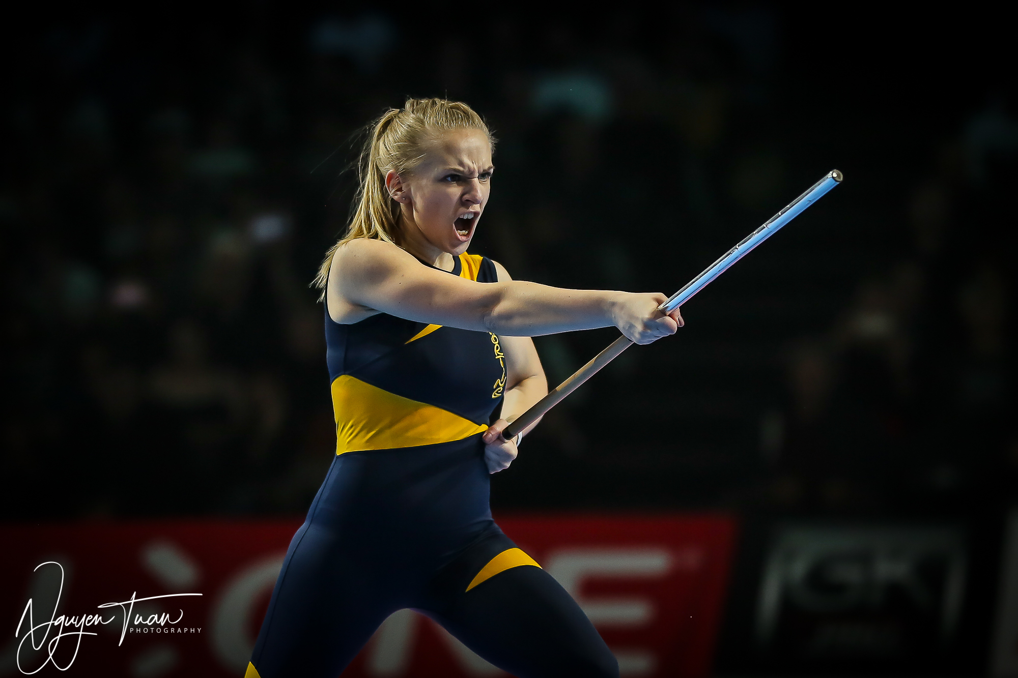 20190324 Festival des Arts Martiaux 4560